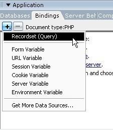 Dreamwever Bindings Paneli