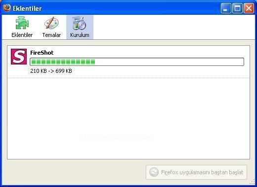 Fireshot Kullanımı